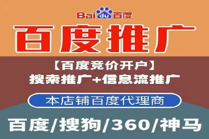 百度竞价排名案例揭秘：广告创意的重要性